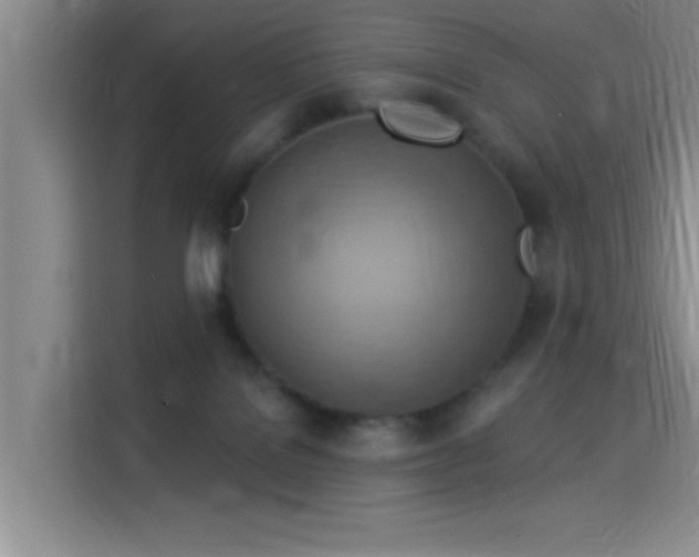 X0000115850076200911201622