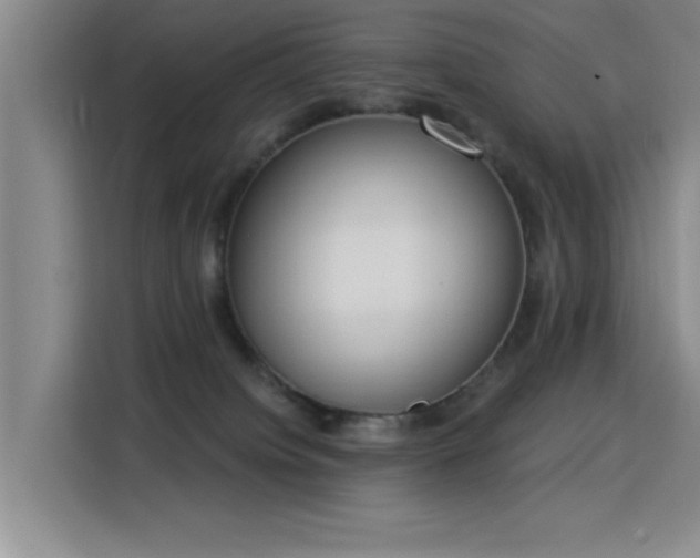 X0000115850084200911201622