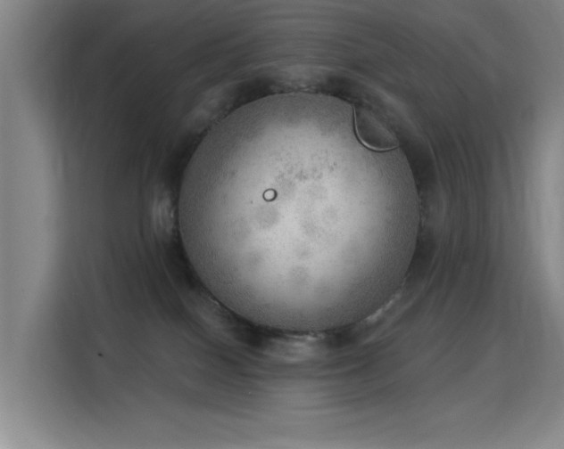 X0000115850086200911201622