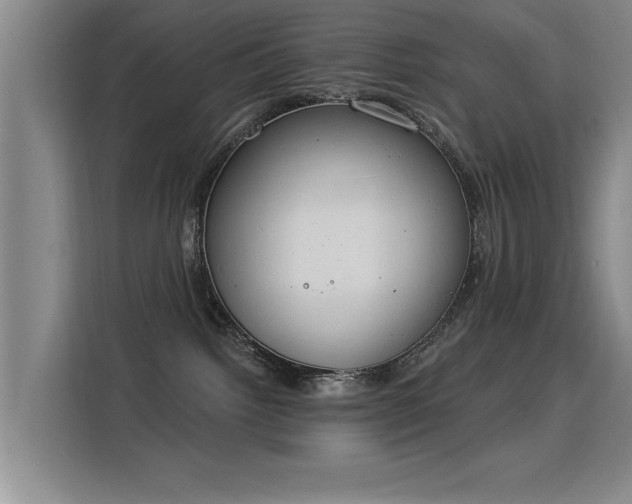 X0000115850092200911201622