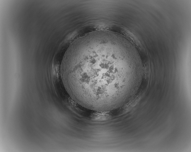X0000115850093200911201622