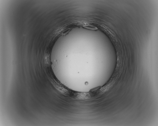 X0000115850096200911201622