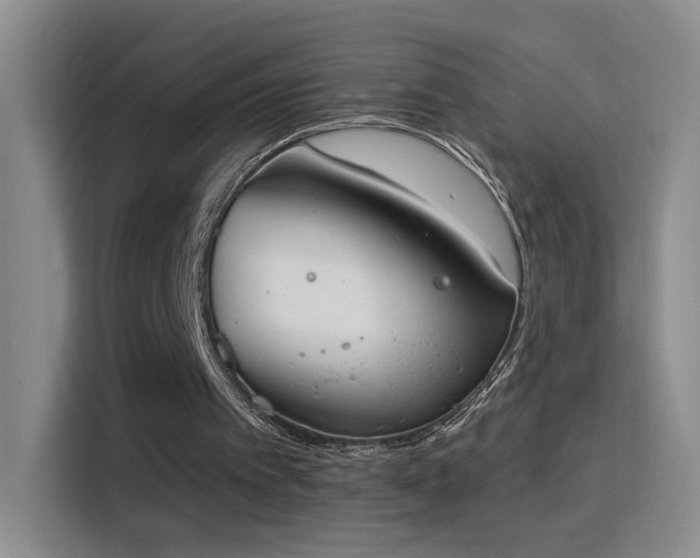 X0000115850097200911201621
