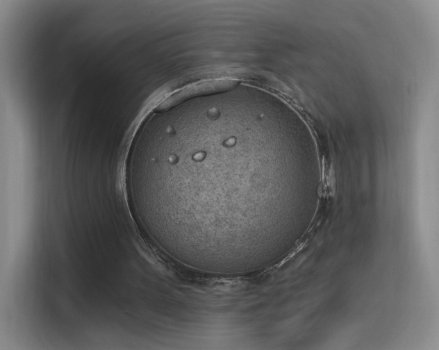 X0000115850099200911201621