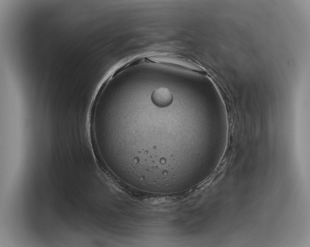X0000115850100200911201621