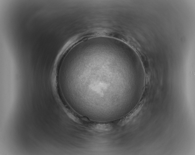 X0000115850101200911201621