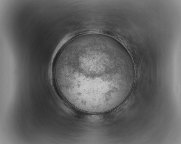 X0000115850102200911201621