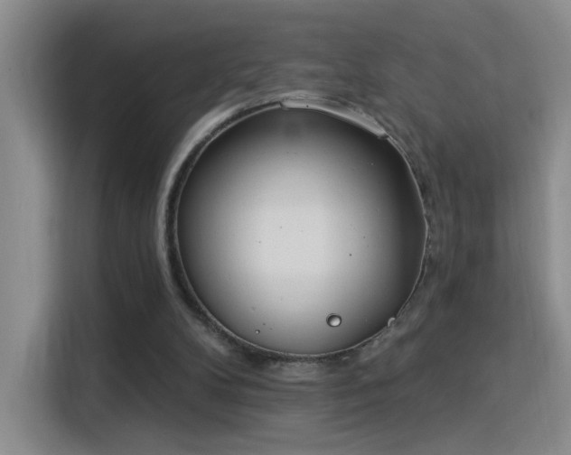 X0000115850104200911201621