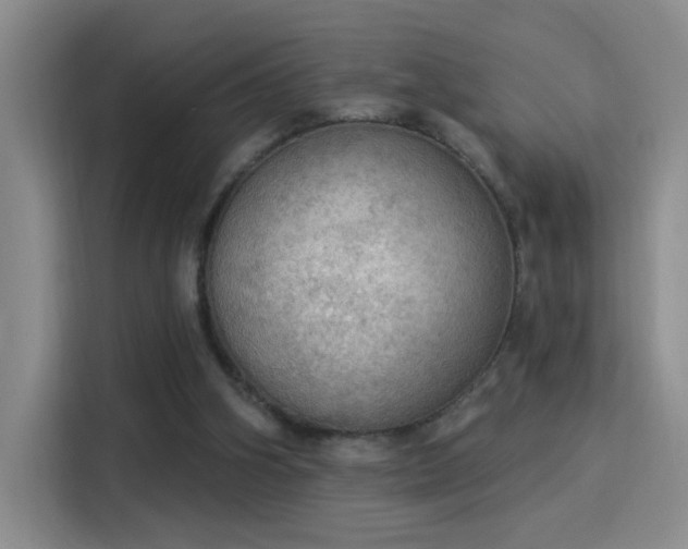 X0000115850106200911201621