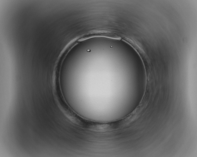 X0000115850108200911201621