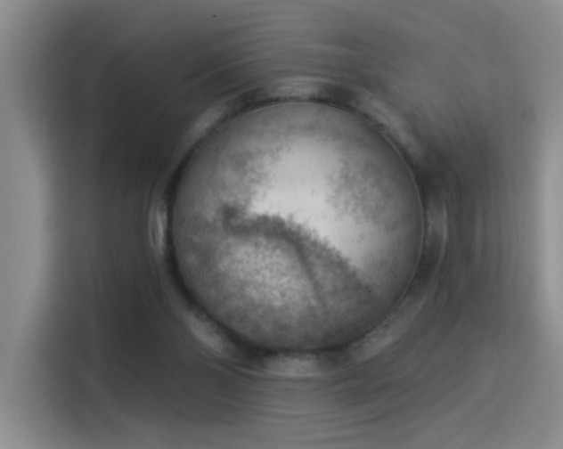 X0000115850110200911201621