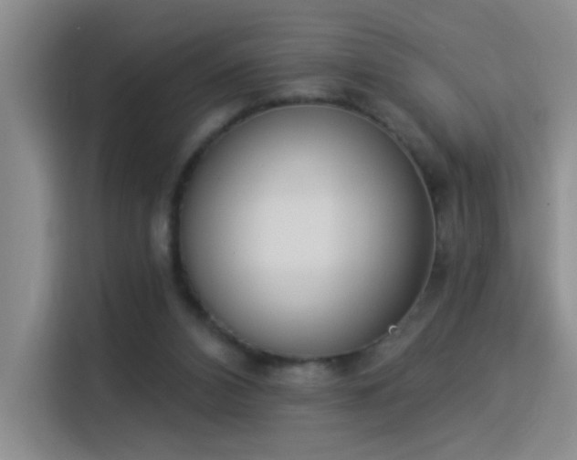 X0000115850112200911201621