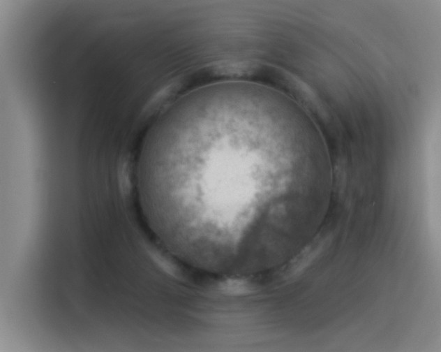 X0000115850114200911201621