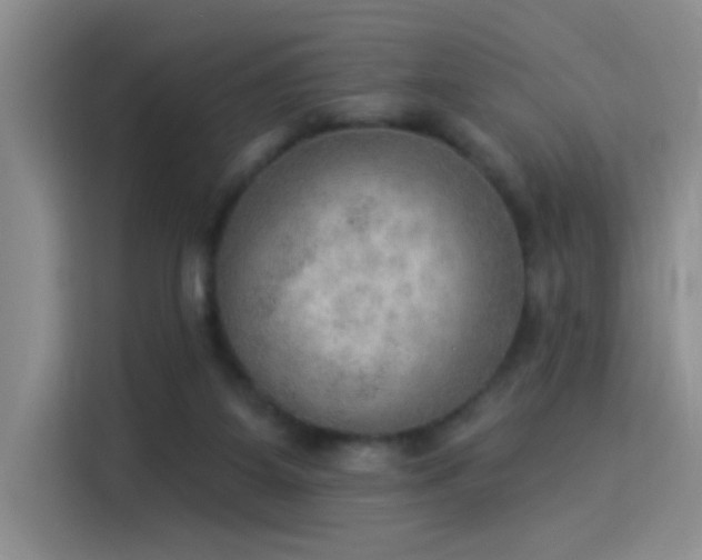 X0000115850115200911201621