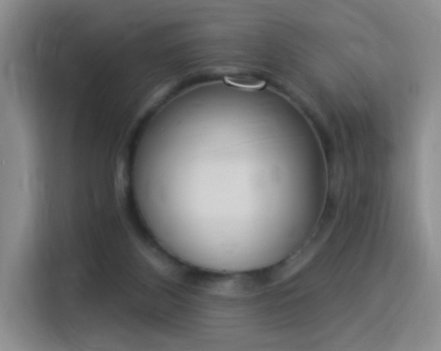 X0000115850116200911201621