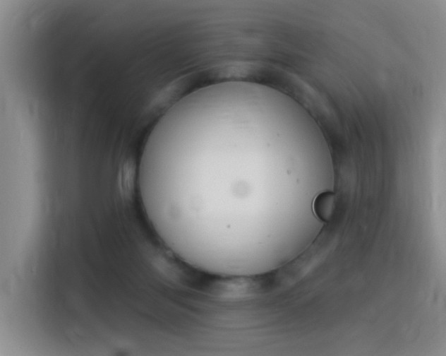 X0000115850118200911201621
