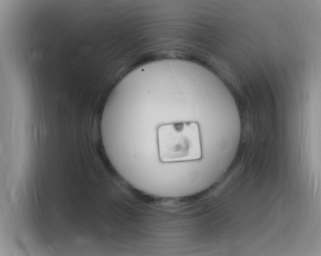 X0000115850121200911201621
