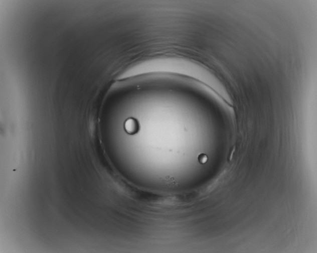 X0000115850124200911201621