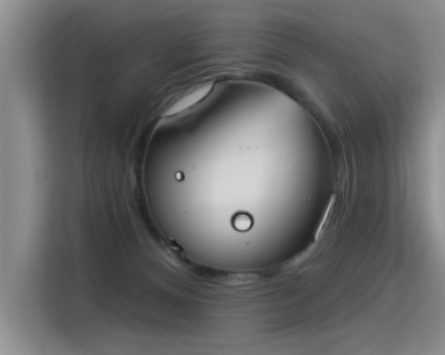 X0000115850128200911201621