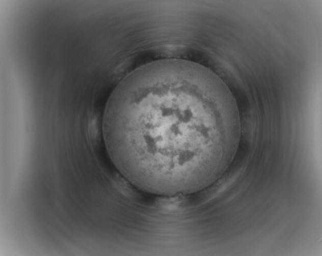 X0000115850131200911201621