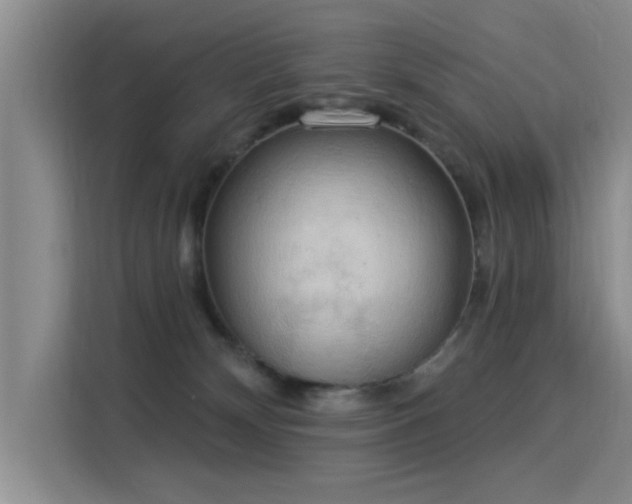 X0000115850132200911201621