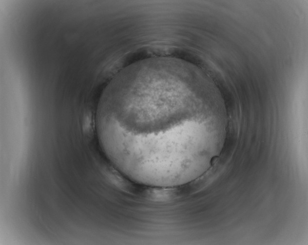 X0000115850134200911201621