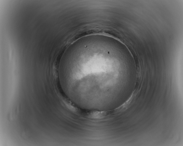 X0000115850136200911201621