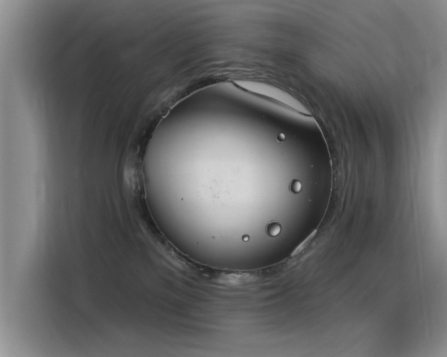 X0000115850137200911201621