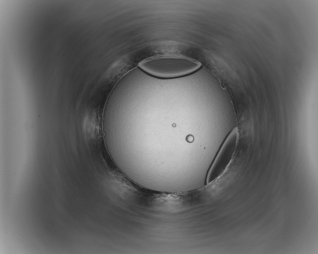 X0000115850140200911201621