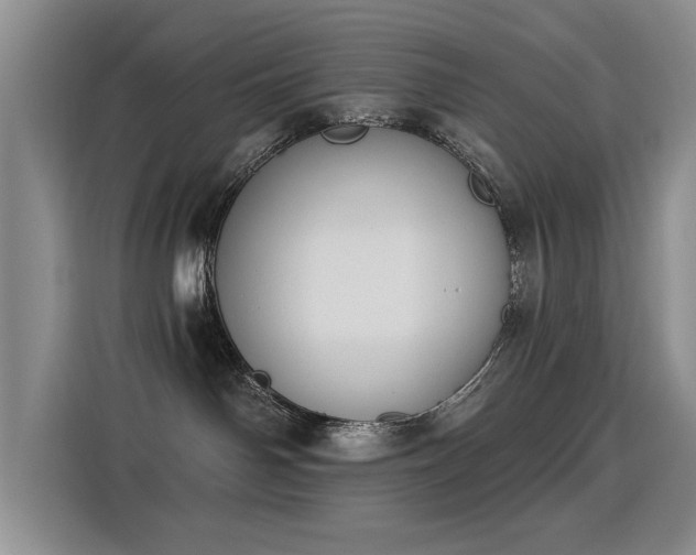 X0000115850142200911201621