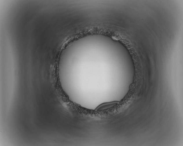 X0000115850144200911201621