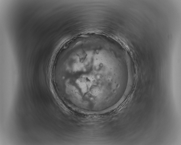 X0000115850145200911201620