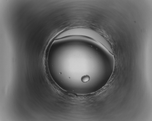 X0000115850146200911201620