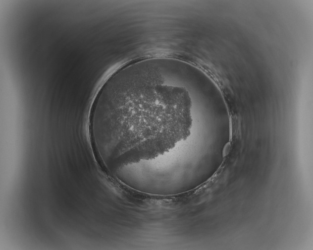 X0000115850147200911201620