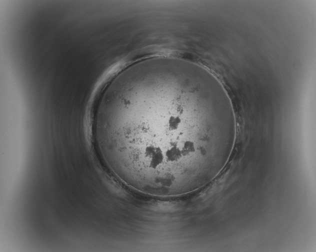X0000115850149200911201620