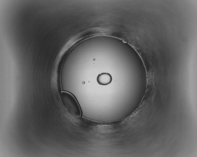 X0000115850150200911201620