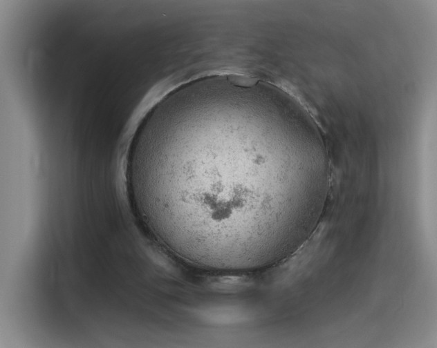 X0000115850151200911201620