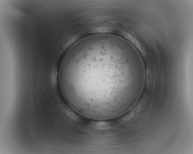 X0000115850153200911201620