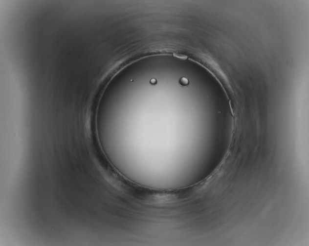 X0000115850154200911201620