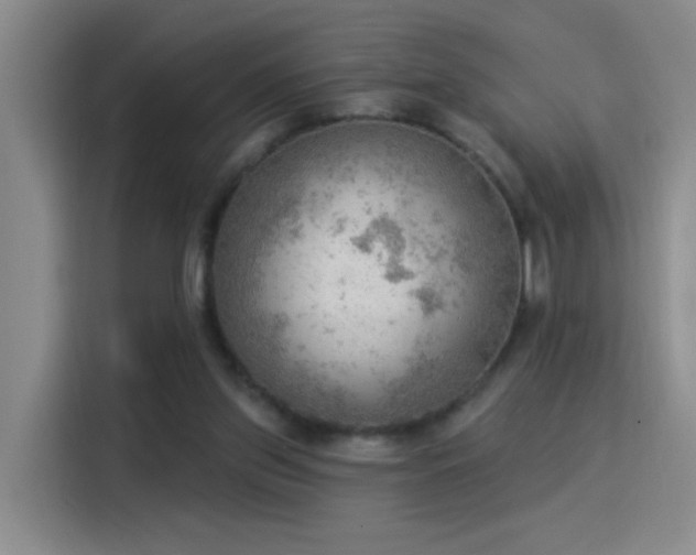 X0000115850157200911201620