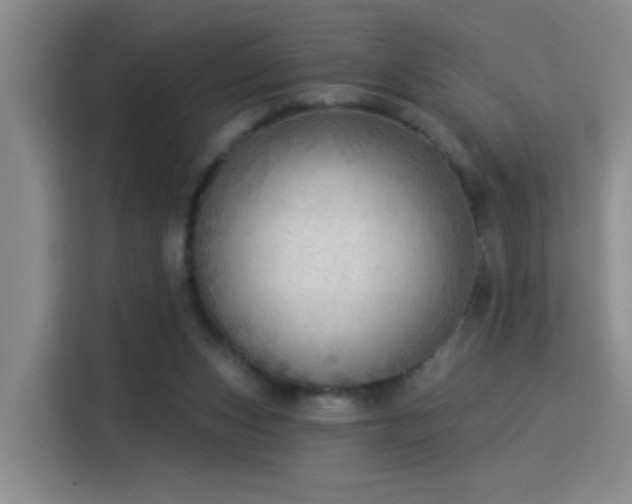 X0000115850159200911201620