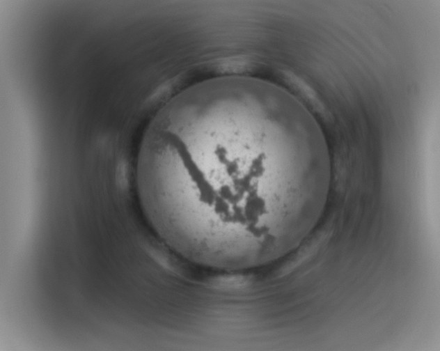 X0000115850161200911201620