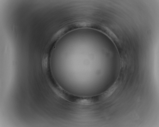 X0000115850163200911201620