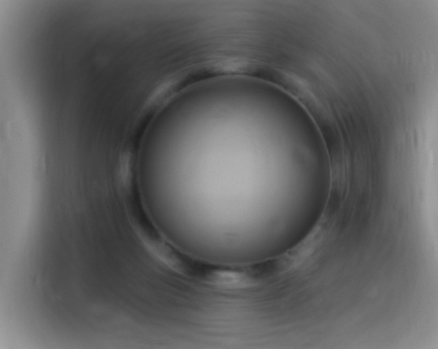 X0000115850167200911201621