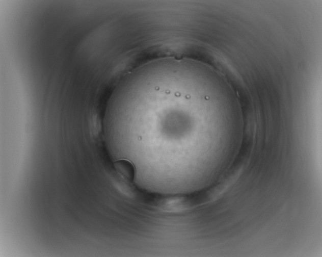 X0000115850173200911201621