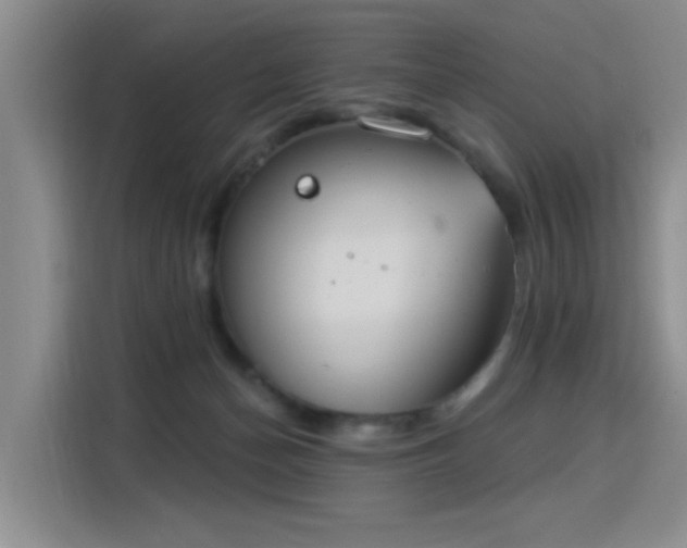 X0000115850174200911201621