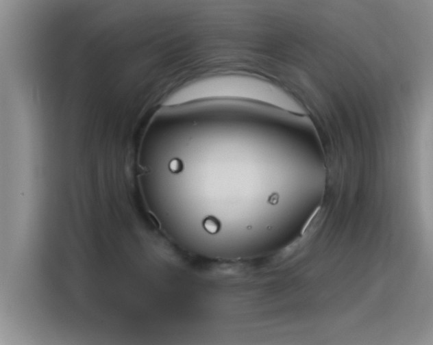 X0000115850175200911201621