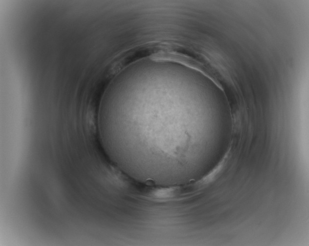 X0000115850178200911201621