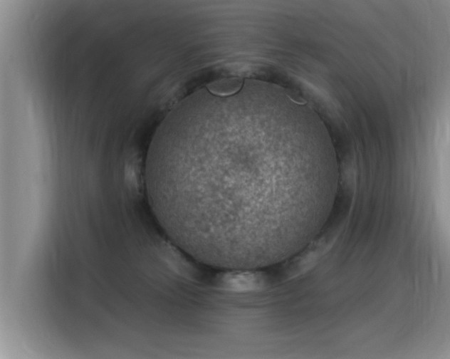 X0000115850181200911201621