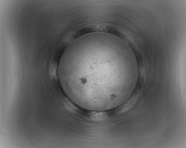 X0000115850185200911201621